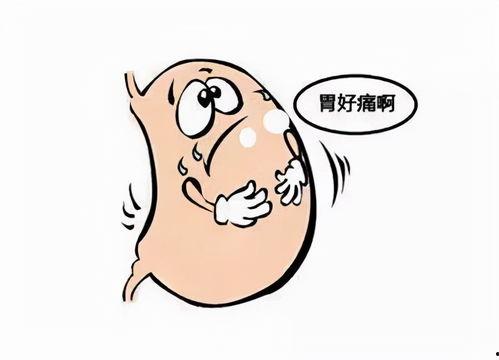 喝酒吃瓜胃疼,揭秘饮酒与饮食不当的后果 第1张 喝酒吃瓜胃疼,揭秘饮酒与饮食不当的后果 第1张