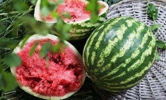 吃瓜的声音大全  第3张